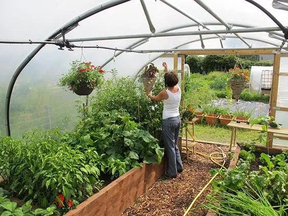 Comment installer une serre de jardin de façon la plus écologique possible ?