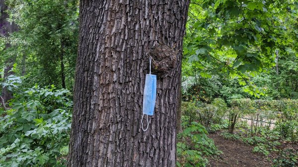 Les conséquences écologiques de la crise sanitaire en 2021