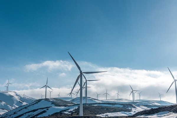Les initiatives vertes qui inspirent