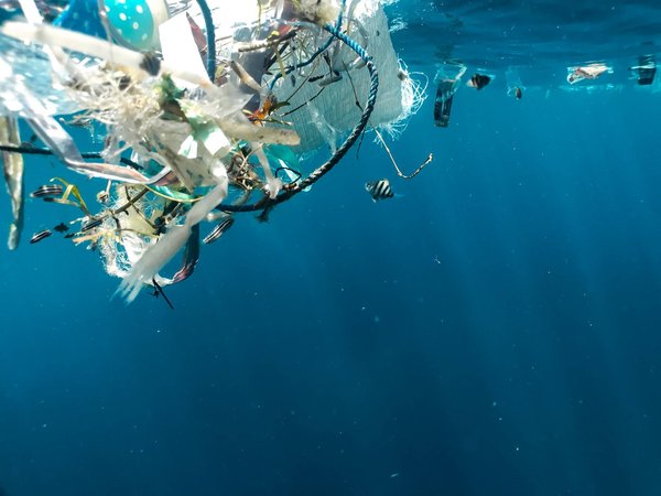 L'engagement de la France en matière de politiques environnementales